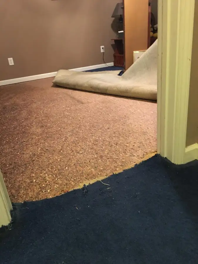 Carpet pad removal revealing water damage during Water Mitigation Services in North Adams