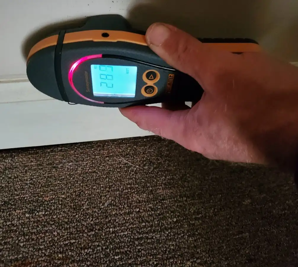 Moisture detection at baseboard during Sewage Cleanup & Sanitation in North Adams